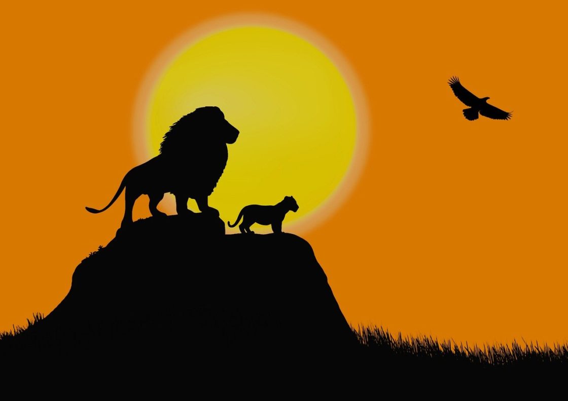 lion, lion king, simba